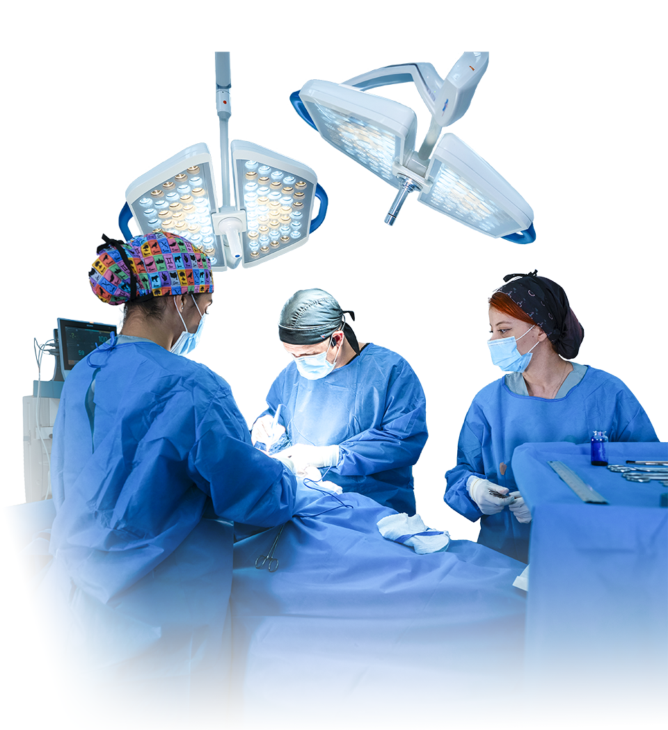 cirugia plastica medellin